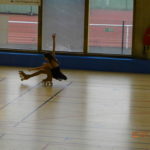 Figure de patin en ligne